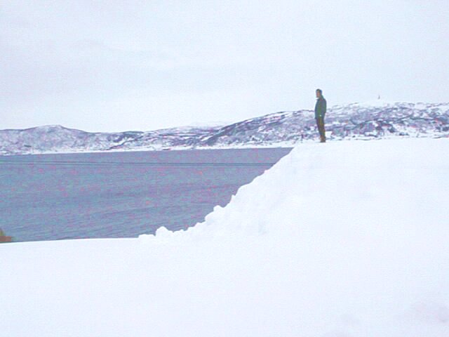 Snydungen.jpg (32797 bytes)